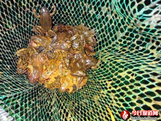 ���a�������½� Microsoft Word 97-2003 �ęn156.png