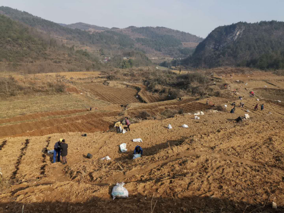 ��������������   ��˾���ַ�ؚ�����(du��)�ɲ��`483.png