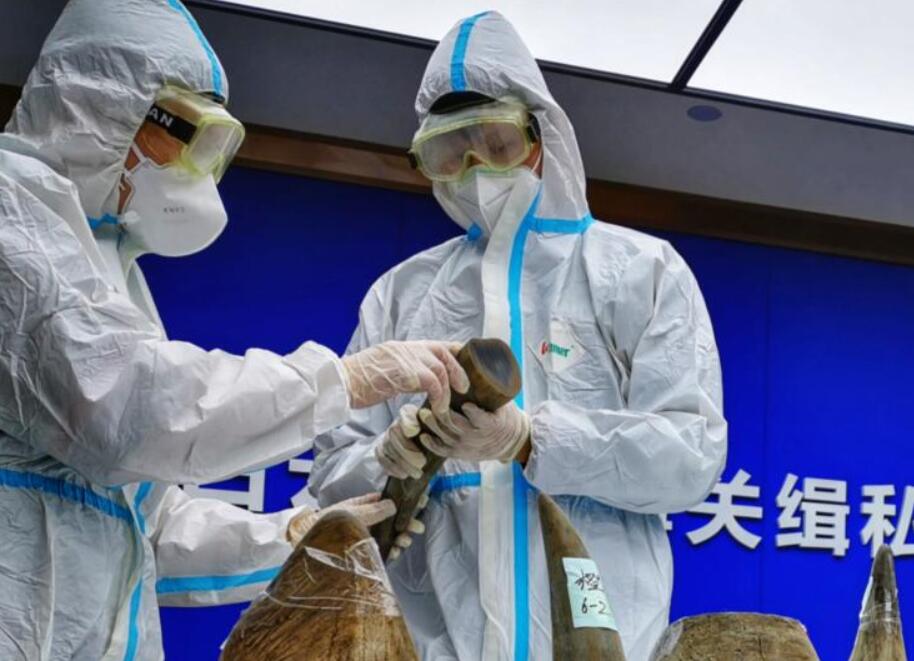 ���P(gu��n)�B��Ϭţ�������R�ɺ;G�����Ұ����(d��ng)�Ｐ����Ʒ��˽��