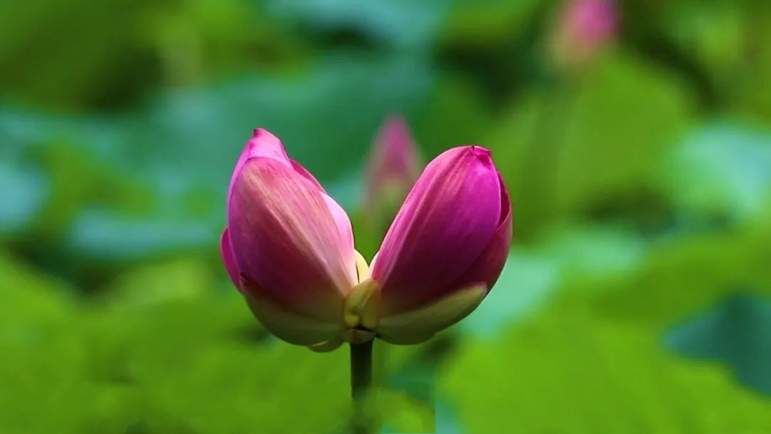 �⑍���Ͼ����������ɏ�Y(ji��)������ɏ������οͽoժ������