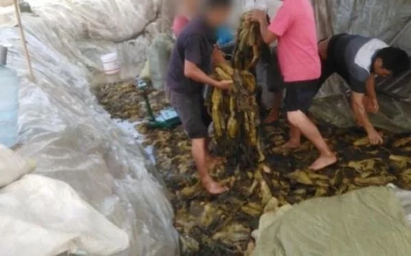 �ω����������I(y��)��ͣ�� �B������˘I(y��)�����ˆT���������ИI(y��)�ǜ��֮��(z��i)