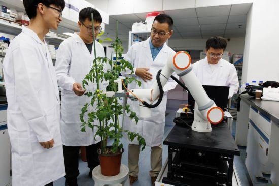 ���_(t��i)ȫ�����������N�C(j��)��������