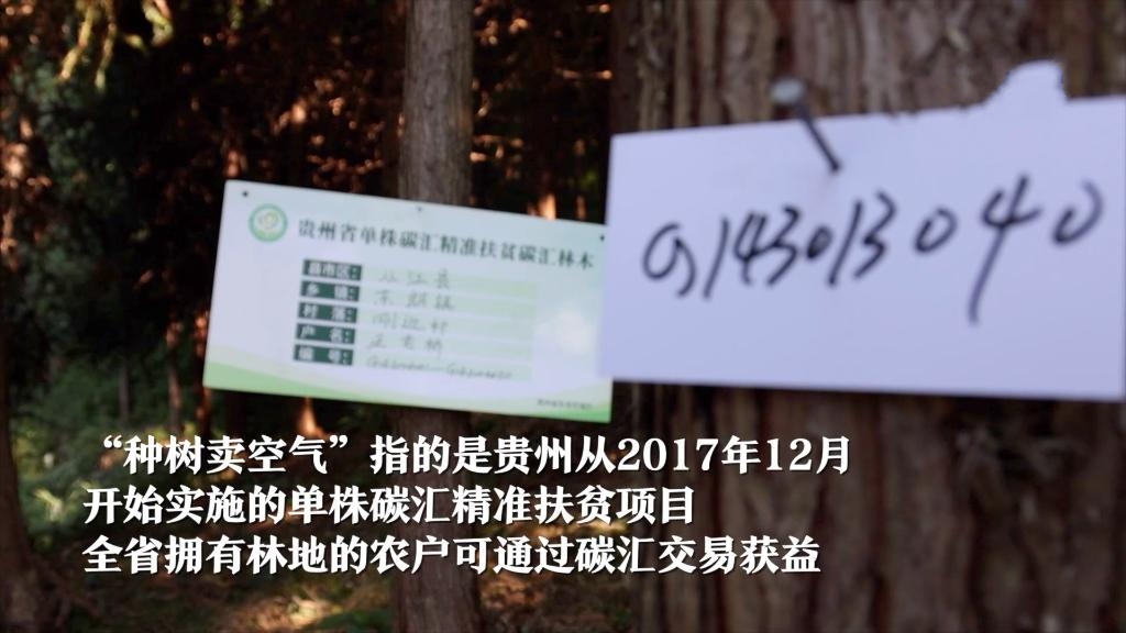 ���N���u�՚⡱�����Ї�����ɽ�^(q��)���������B(t��i)��׃��������(j��ng)��(j��)��