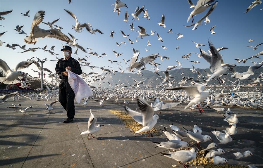 �������g�����t���t����Ͷι �t�Zÿ��1000�๫��