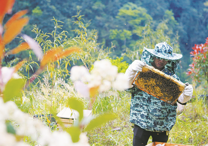 Óؚ��·�ӣ������B(y��ng)�u�������B(y��ng)�䡢���·Nֲ