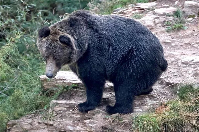 �״Σ�����Ұ������������Դ�؅^(q��)�l(f��)�F(xi��n)��Ҋ������