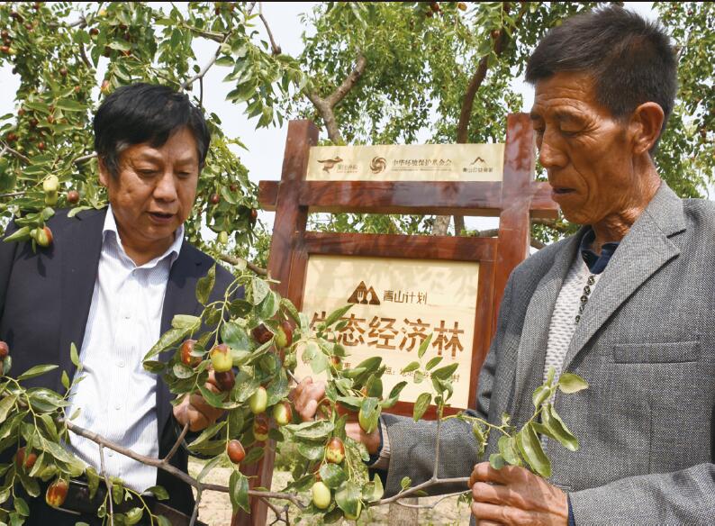 ���t�����|(zh��)��Ч�(xi��ng)Ŀ��������