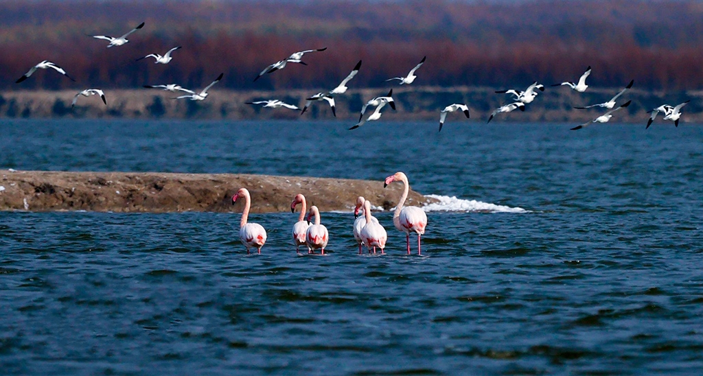 ɽ���\(y��n)�ǣ������B�B�m(x��)�����}��Խ��