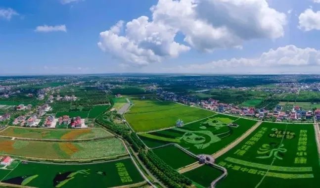 2020 ���Ї��������(zh��n)�����γ��t�������@�ɂ�(g��)���(zh��n)Ó�f����