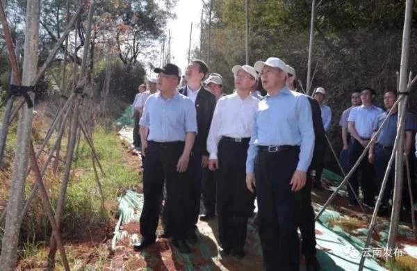 ������h(hu��n)������Mͨ��(b��o)�� ��ӛʡ�L�H���F(xi��n)�����k����