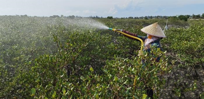 �V�������t�����ܓp�^(q��) ����æ��ϴ��ɫ��ĩ