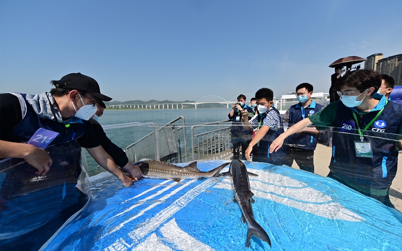 �����˲���23�fβ���A�\�Św�L(zh��ng)��