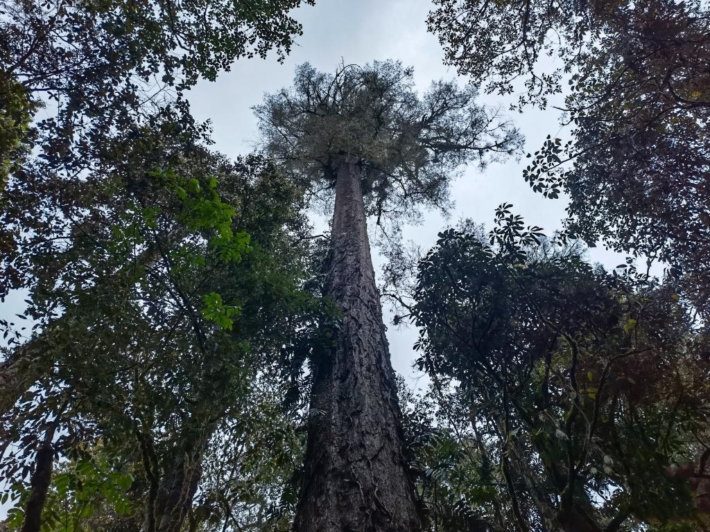 76.8��������īÓ�l(f��)�F(xi��n)�Ї�(gu��)�����֪��ߵĘ�