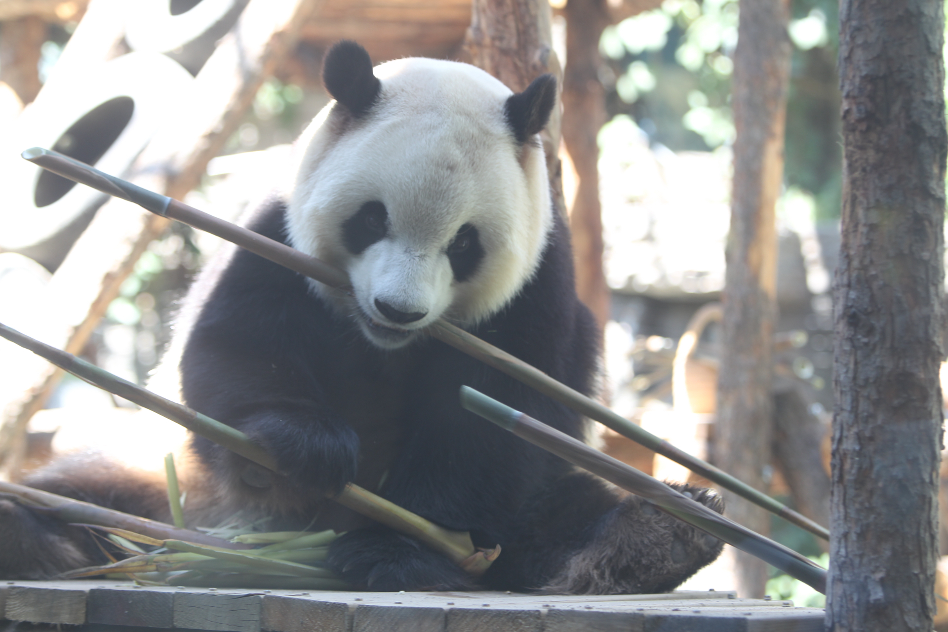 ����؈���ҹ��@˾�����o(h��)Ȧ�f(xi��)ͬ�����������M(j��n)չ��