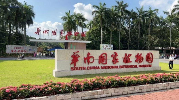 �A�χ�(gu��)��ֲ��@������Ƴ���