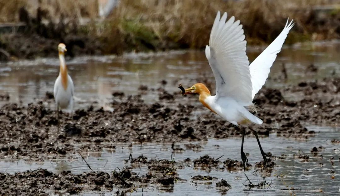 �ֽ���һ���^�B�M(j��n)����S�������B(t��i)�h(hu��n)��������������c�@Щ��ϡ�B��ڶ���