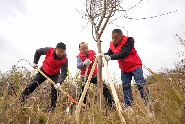 �F�ݣ��x��(w��)ֲ��(sh��)�������G