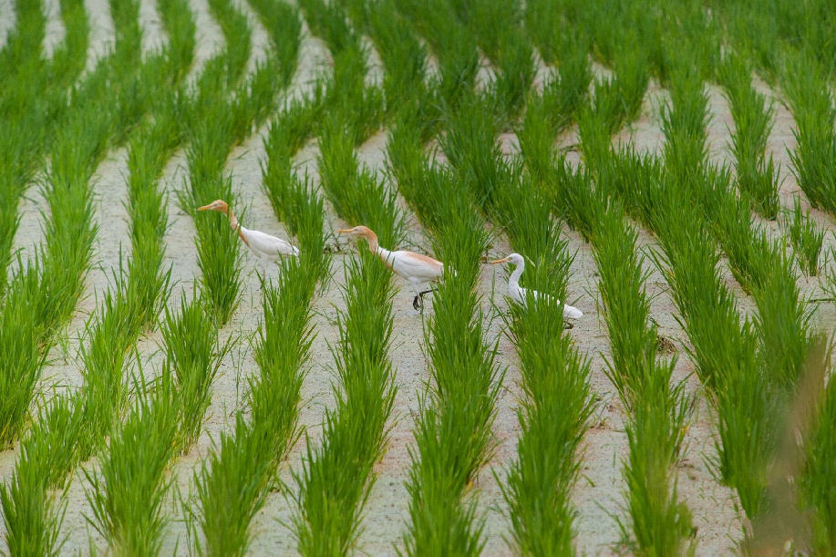  ���B(t��i)�� ���B�w