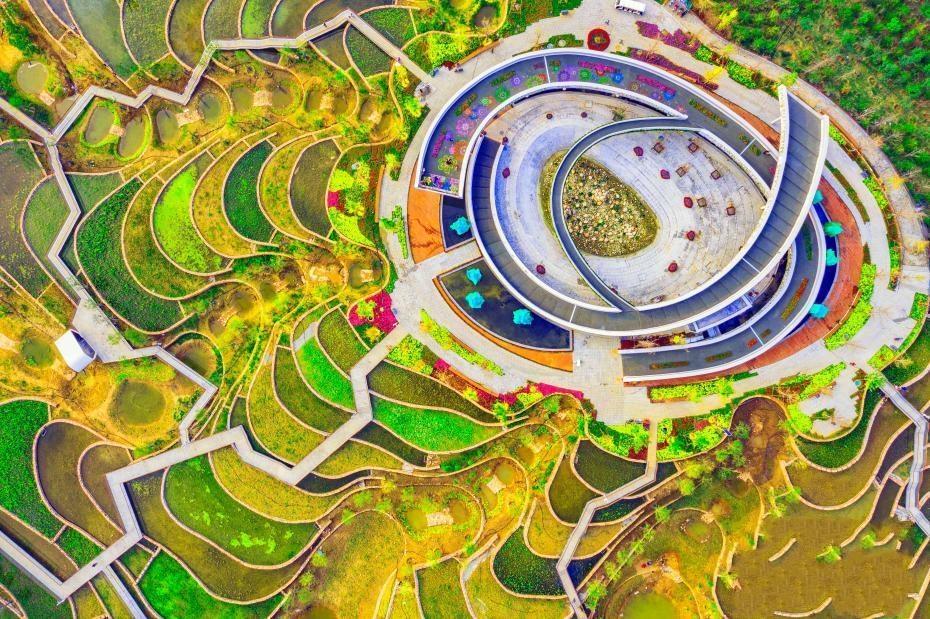 ����������(ch��ng)׃���󻨈@