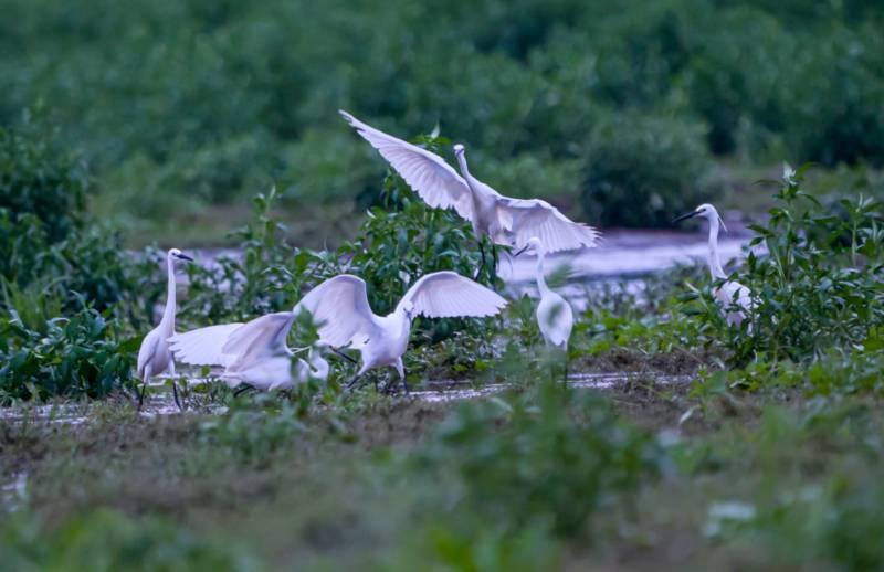 �V�����֣�������Ⱥ���B(t��i)��