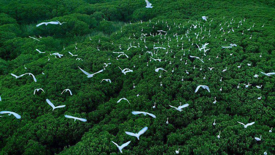 ���^�������Ľ��ڼt���ֳɺ��B����Ϣ���á�