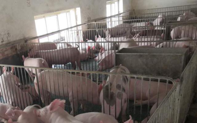 �������i���ڡ����׺Εr�Y(ji��)�������ҷQ����r���硱