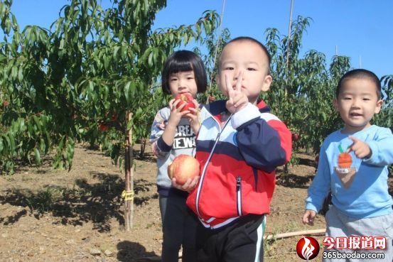 ͯ���е�����ζ��