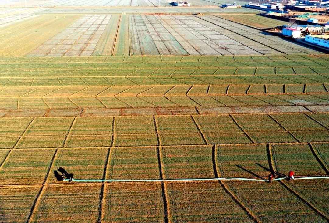 ����20�꣬�Ї�(gu��)�r(n��ng)�I(y��)�@Щ��(j��ng)�(y��n)ֵ�ÿ��Y(ji��)��