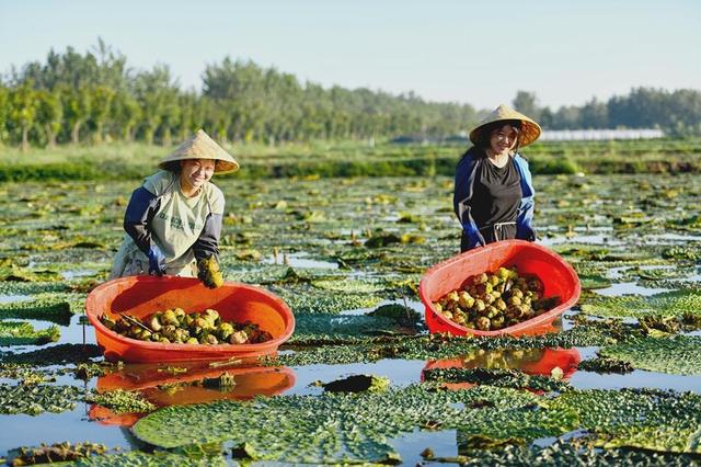 ���K���(y��ng)��СС�͌�(sh��)�� �r(n��ng)���¸�����