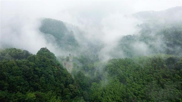 �F���ׂ�(g��)��ժñ�h���������l(xi��ng)�塰�����(n��i)�ˡ�