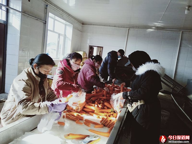 ������ʡ����hʢ���R����Nֲ���I(y��)����������������ɫ�a(ch��n)�I(y��) �����r(n��ng)�������¸�