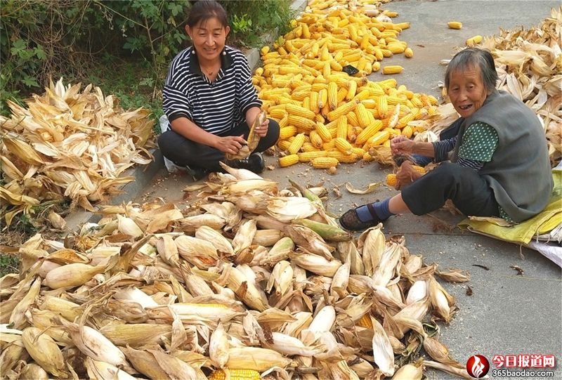 �����ײ�Ҫ�X��ɽ�|۰���r���֡������a������(chu��ng)�¸�·