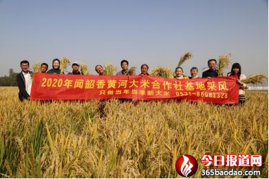 ǧ�����_(t��i)  ��������&mdash;&mdash;2020�����������S�Ӵ��׺�������ز��L(f��ng)��(c��)ӛ1049_����.jpg