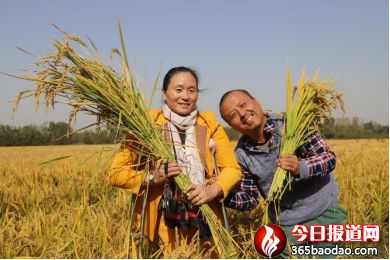 ǧ�����_(t��i)  ��������&mdash;&mdash;2020�����������S�Ӵ��׺�������ز��L(f��ng)��(c��)ӛ1077_����.jpg