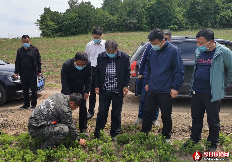 ������ʡ����h���Ŀ���O��֧�δ��M������(w��n)�������������