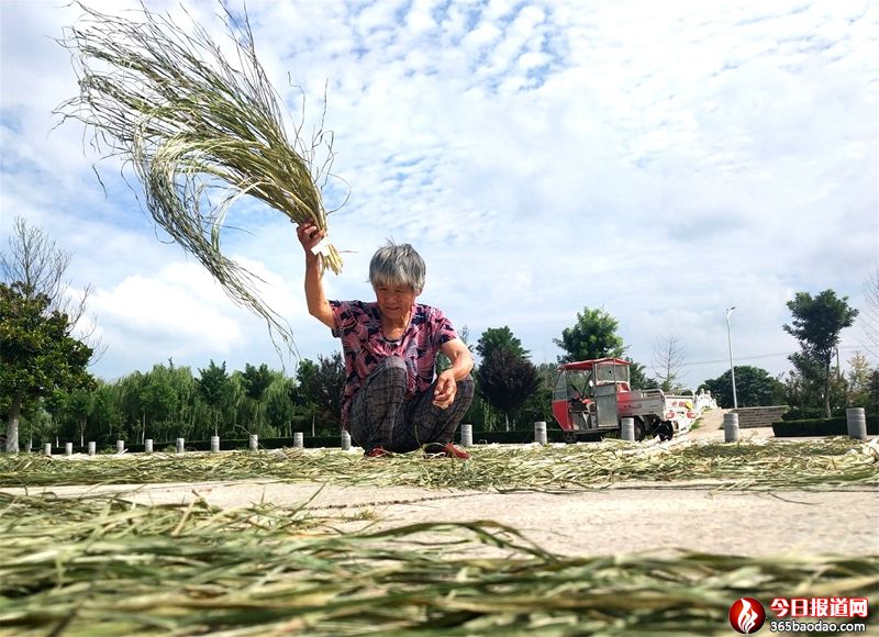 �r(n��ng)�񡰬���ݡ�׃���¸��ݡ�