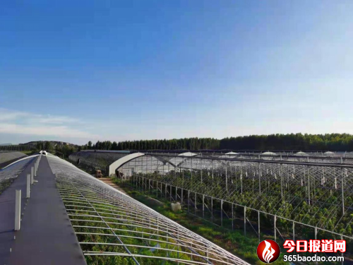 ɽ�ƌW�������l(xi��ng)�����댍�� �����ഺ�۽��l(xi��ng)�����d�������A��֮��840.png