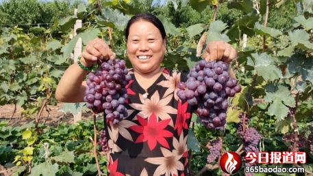    �ӱ��w�������Ѳ�ժ����(d��ng)�r