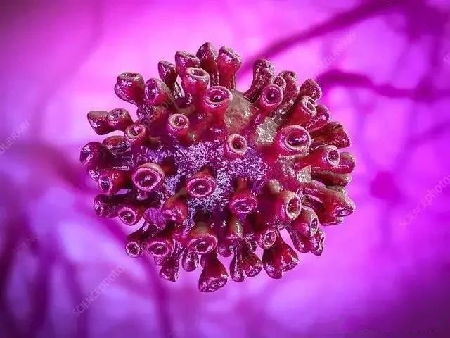 ��ػ�ů���¹ڲ����Εr(sh��)��ʧ�����ҵ��f������