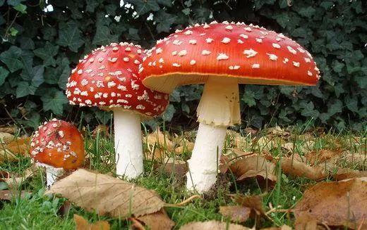 һ���Ŀ�ȫ�ж�����߀����ѽ�ָ�����Ҳ�]���á���