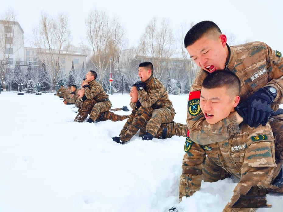 ���C������ѩ�澉 �侯�ٱ�����ѩ����¼ӏ�(qi��ng)Ӗ(x��n)��