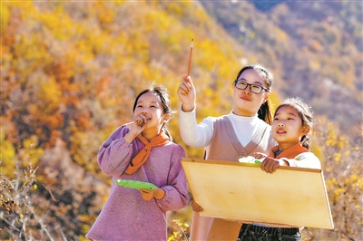 ɽ�������뮋��