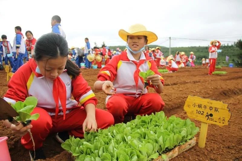 �ڄӽ����������У�@���W(xu��)������(d��ng)��У�@���ݎ���