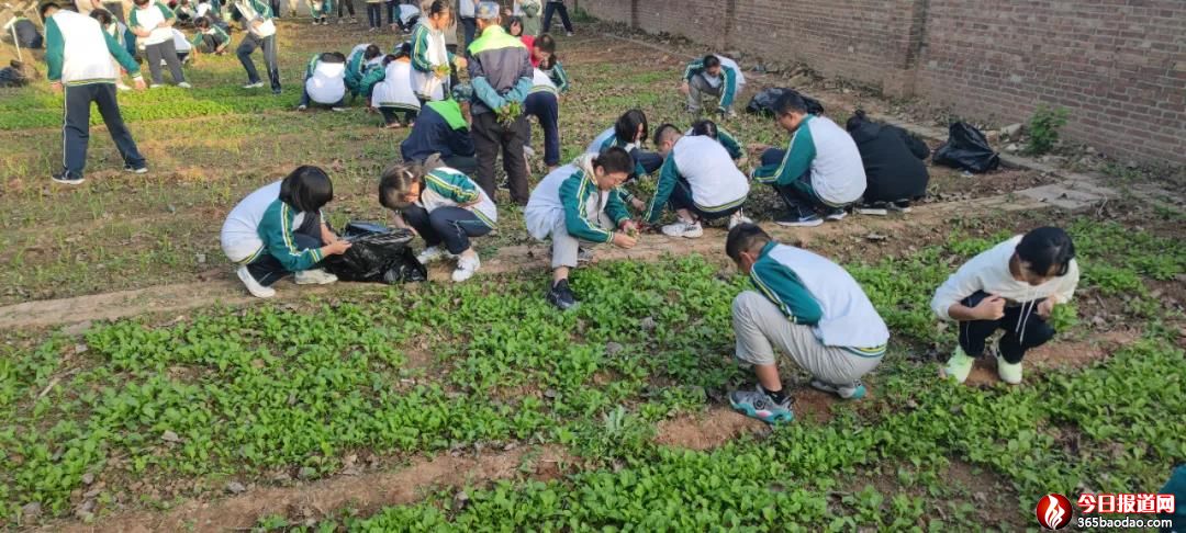 �������Ǆڄӡ��ð�ʽ�����������С��ڄ��n���ܚgӭ