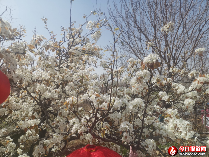 �滨�wѩ  �ÿ͌��(y��ng)0330351.png