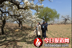 �滨�wѩ  �ÿ͌��(y��ng)03301227.png