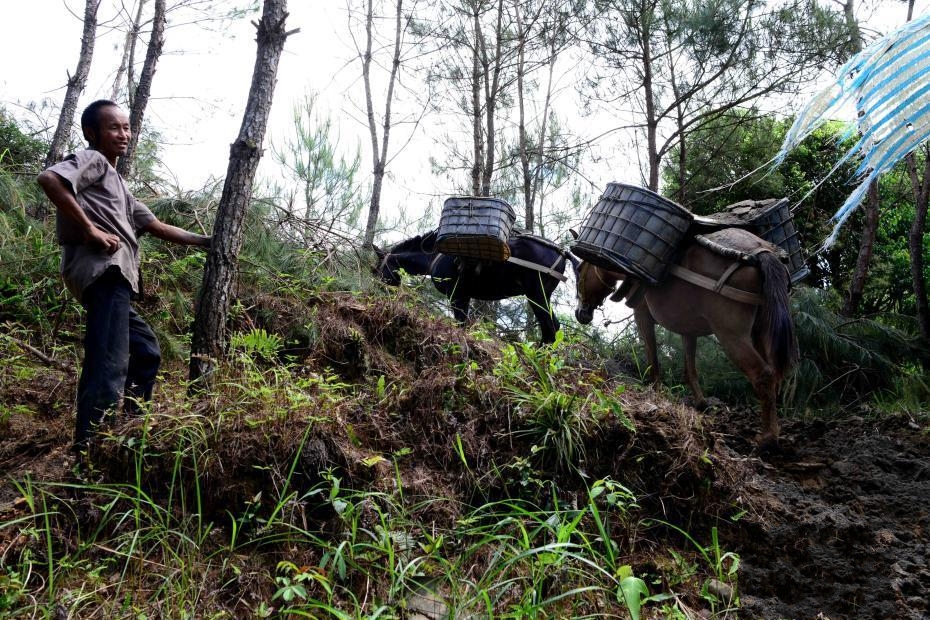 ��������ɽ�^(q��)���R�͡��\؛