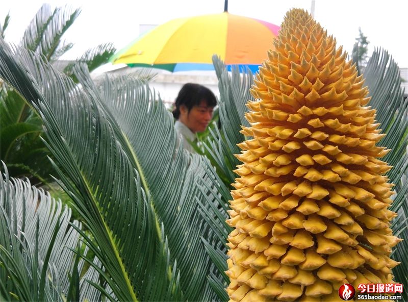 �y��һҊ(ji��n) ��ɏ����^(q��)�F��(sh��)�_(k��i)����