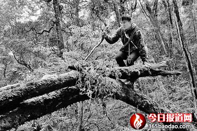 �ܽ^����ƽ�����^�����������