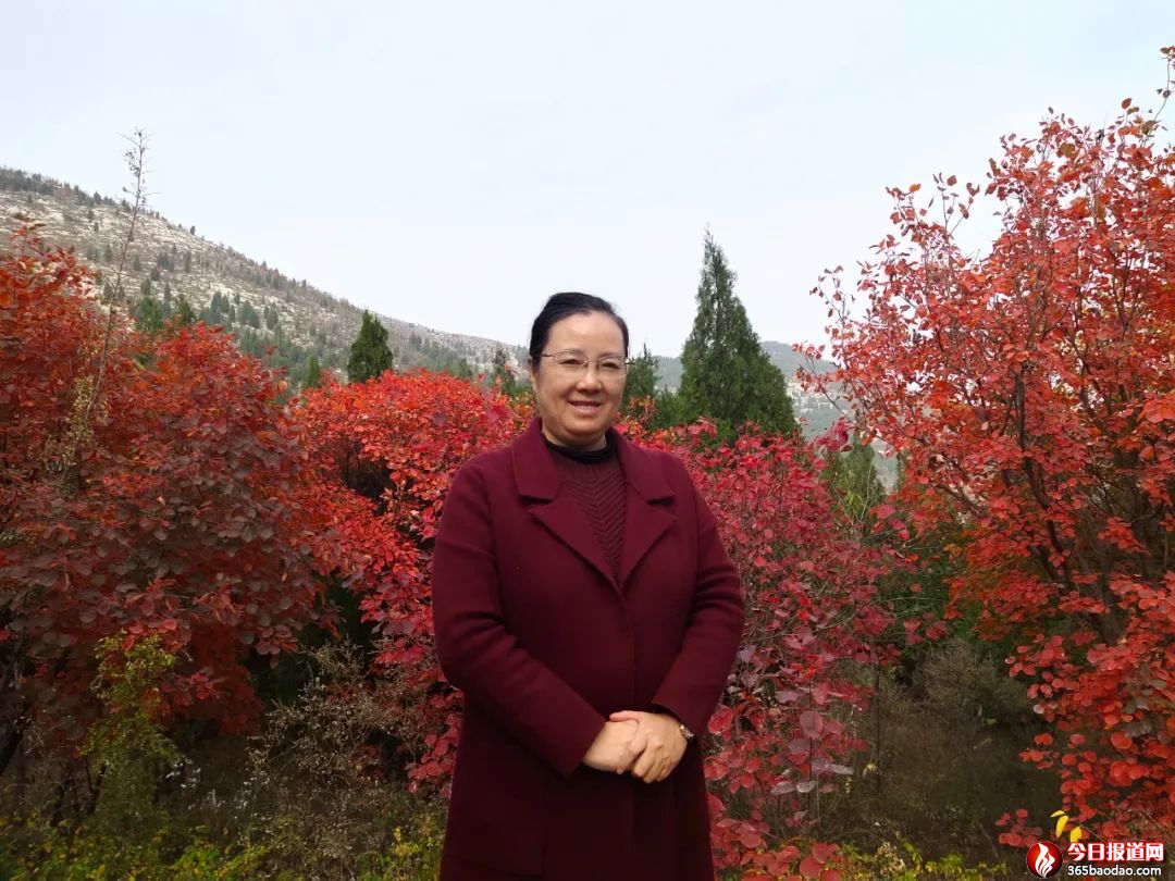 �������m | ���᣺��ʮ���d�Ƹ��� �̝��W������